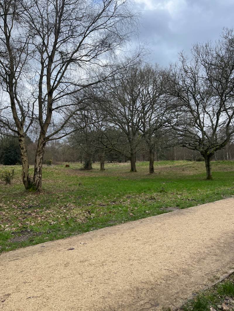 walking near me in Southwood country park in winter