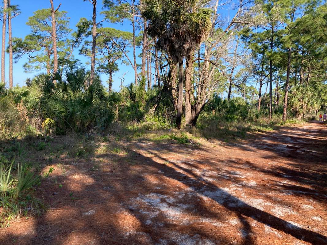 walking near me in Honeymoon Island State Park in winter