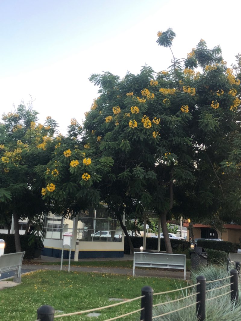 walking near me in Palmer Park in autumn