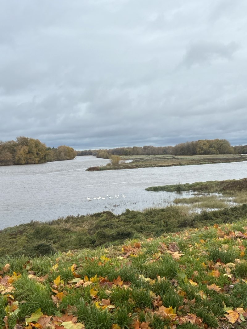 walking near me in Parc Floral de la Source in autumn
