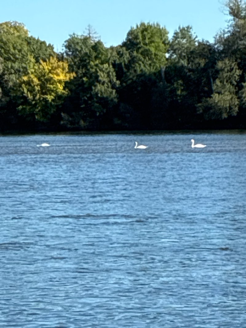 walking near me in Parc Léon chenault in autumn