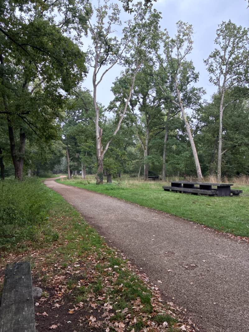 walking near me in Bords de Loire in autumn