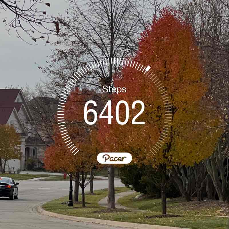 Joselma 🇧🇷🇺🇸 post 1