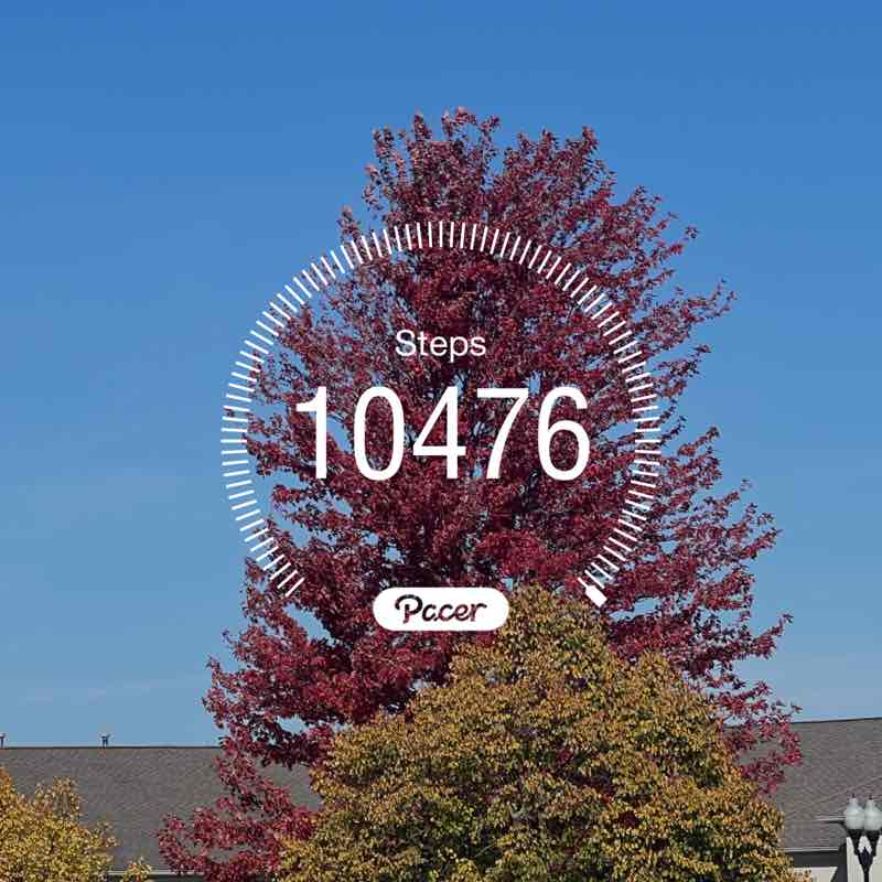 Joselma 🇧🇷🇺🇸 post 1