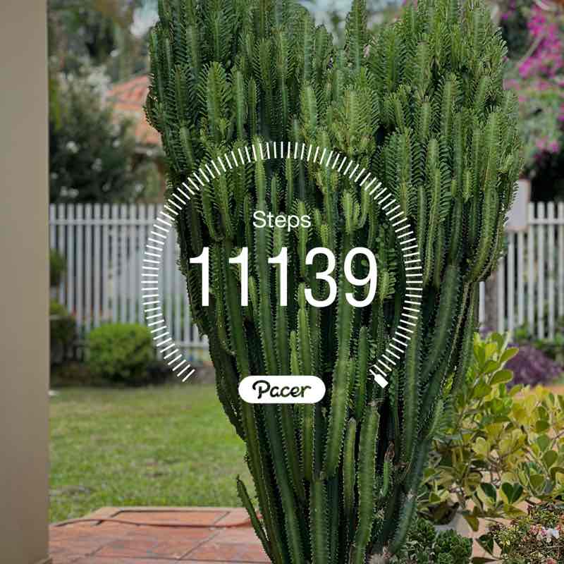 Joselma 🇧🇷🇺🇸 post 1