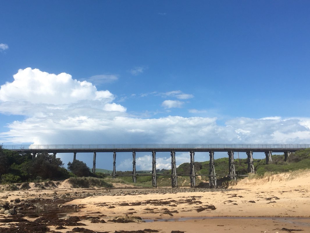 walking near me in Kilcunda Coastal Reserve in summer