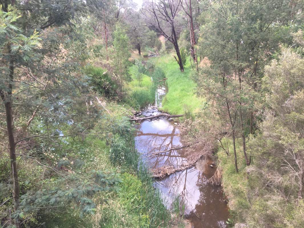 walking near me in Toomuc Reserve in summer