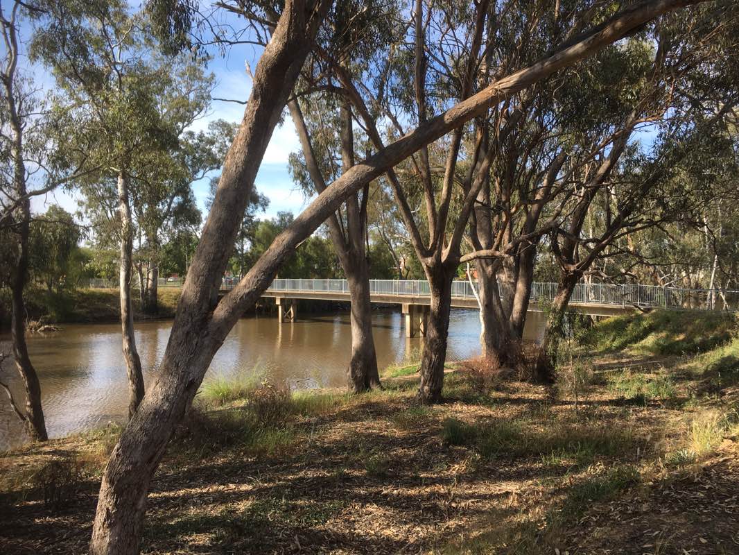 walking near me in Nurmurkah - Picola rail line Bushland Reserve in summer