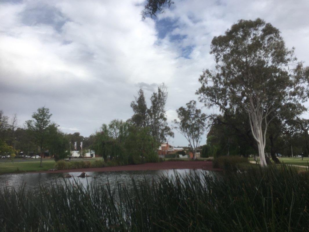 walking near me in Brown Park in summer