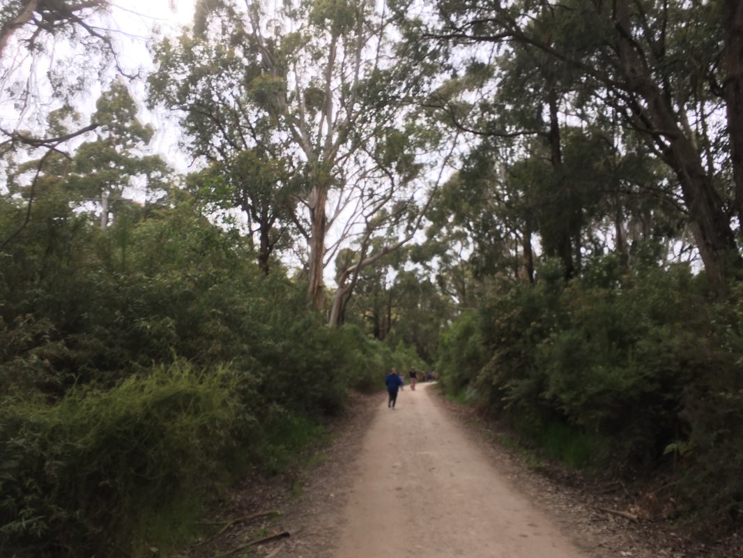 walking near me in Koonwarra Fish Beds Geological Reserve in summer