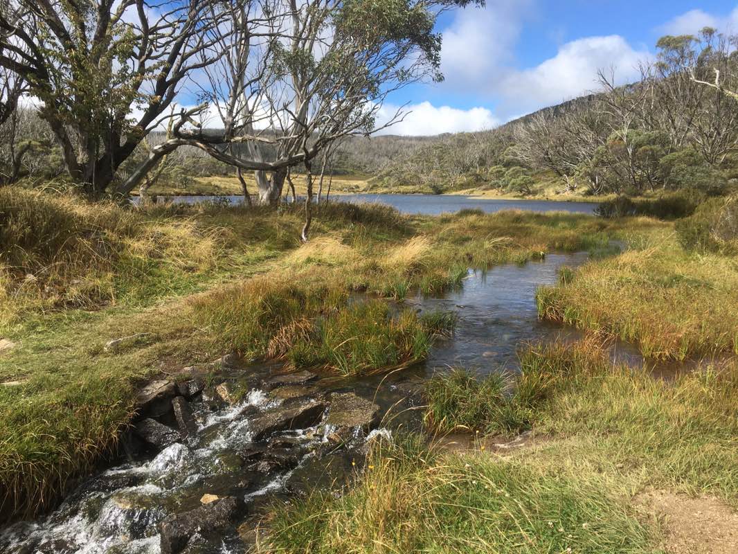 walking near me in Kosciuszko National Park in summer