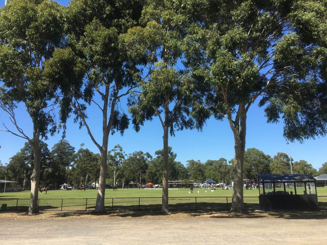 walking near me in Cardinia Creek Nature Conservation Reserve in summer