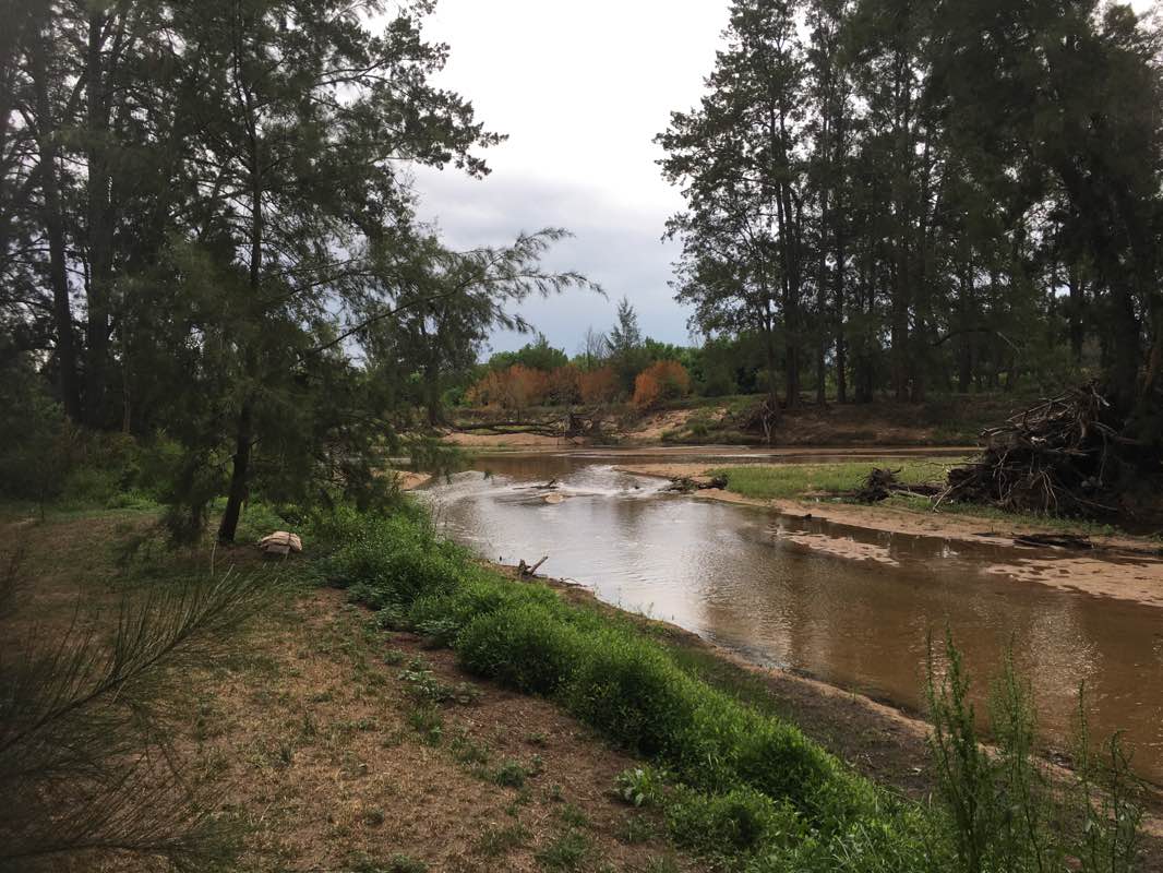 walking near me in Bega River Reserve in summer