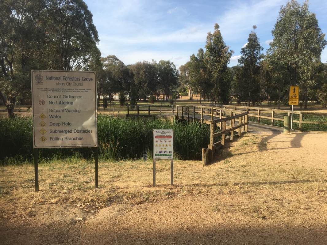 walking near me in National Foresters Grove Rest Area in summer