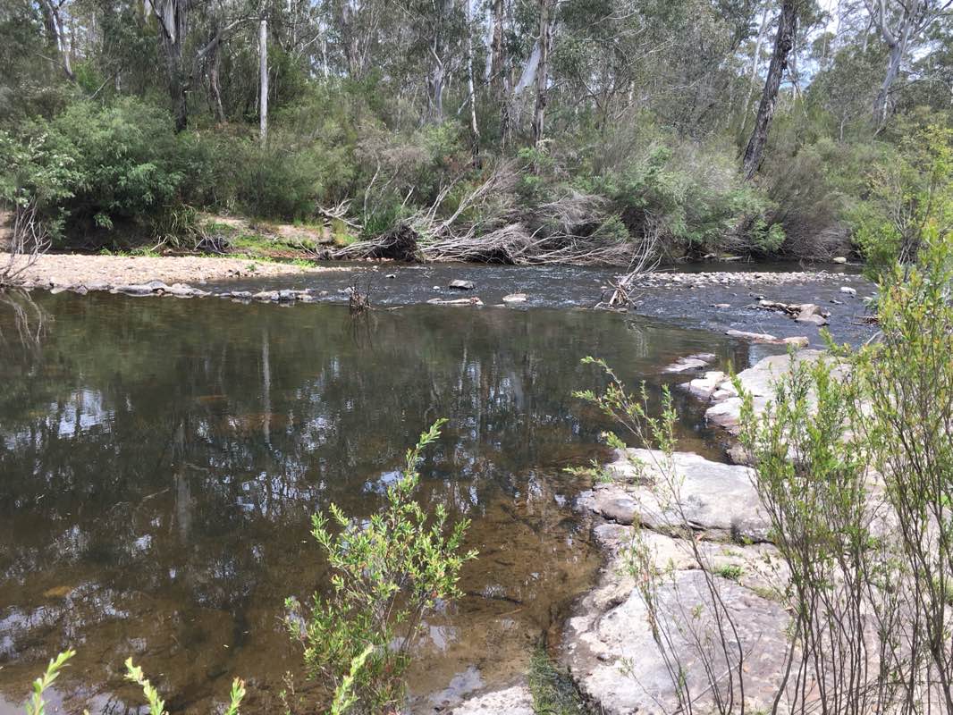 walking near me in Deua National Park in summer