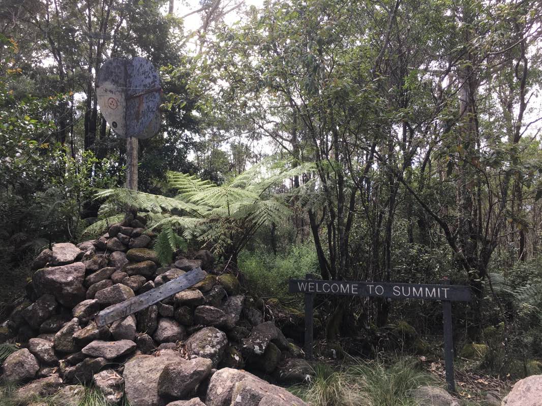 walking near me in Gulaga National Park in summer