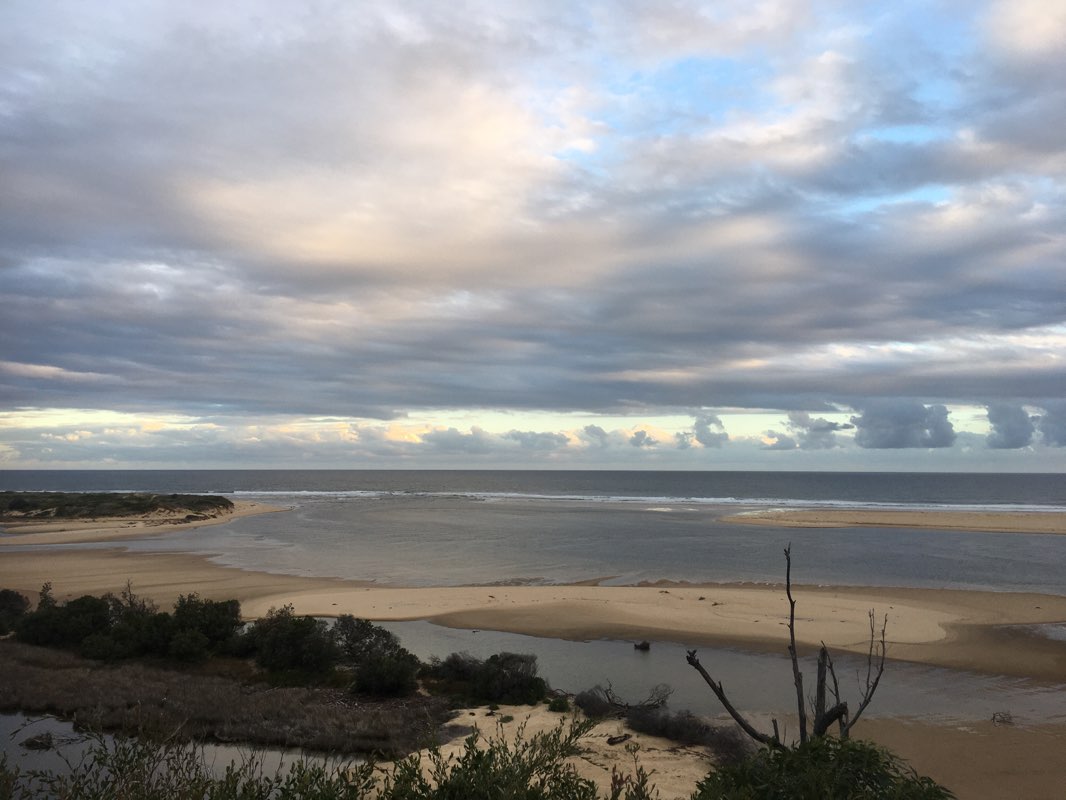 walking near me in Marlo Coastal Reserve (COM) in summer