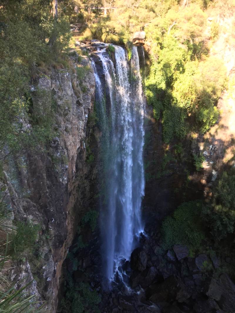 walking near me in Main Range National Park in summer