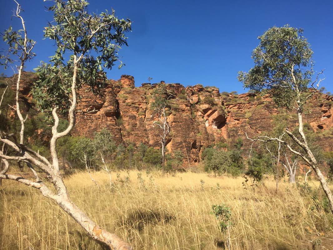 walking near me in Mirima National Park in summer