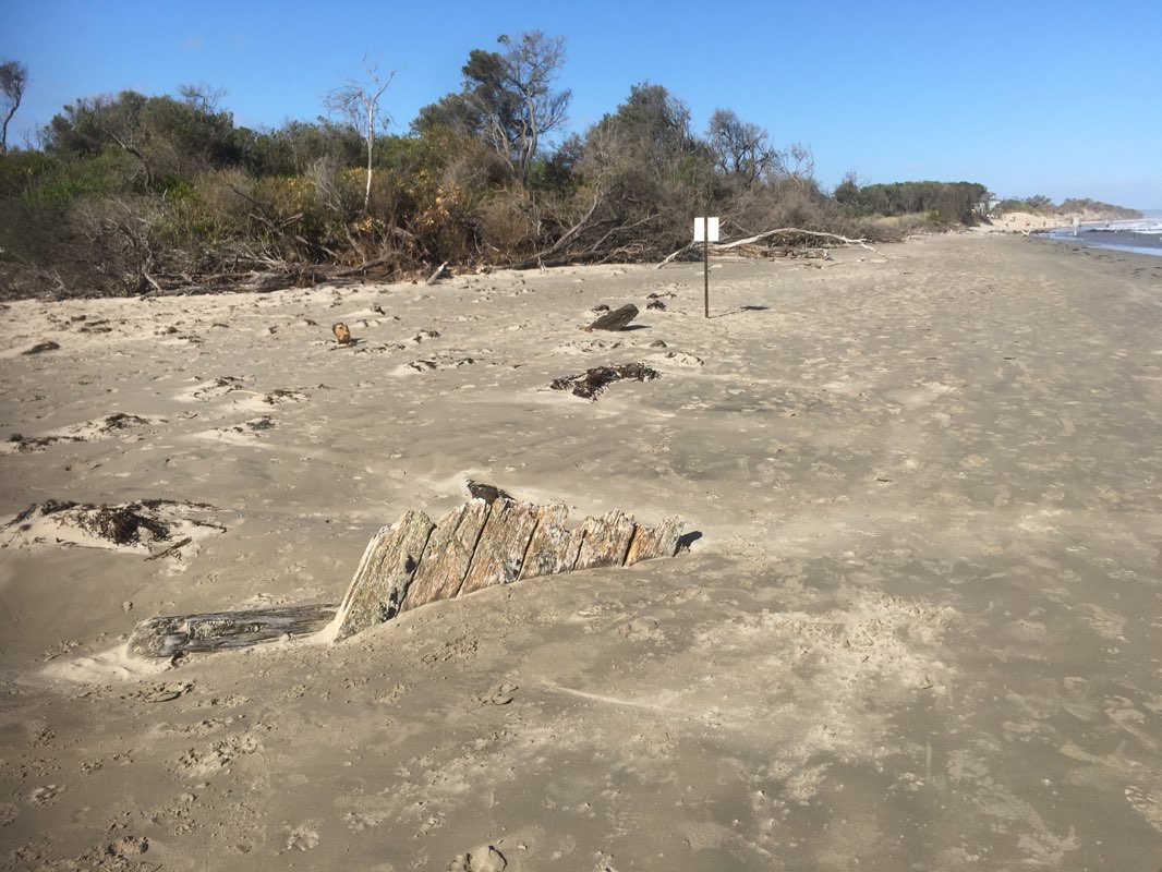 walking near me in Bunurong Coastal Reserve in summer