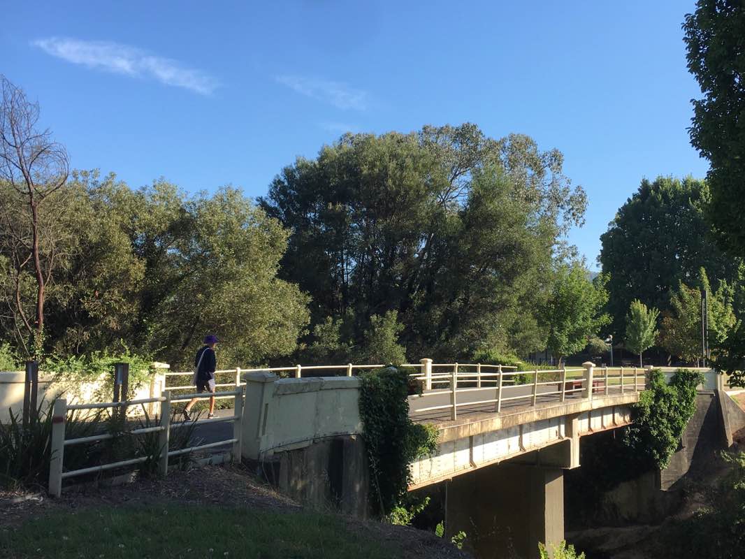 walking near me in Porepunkah Oval in summer