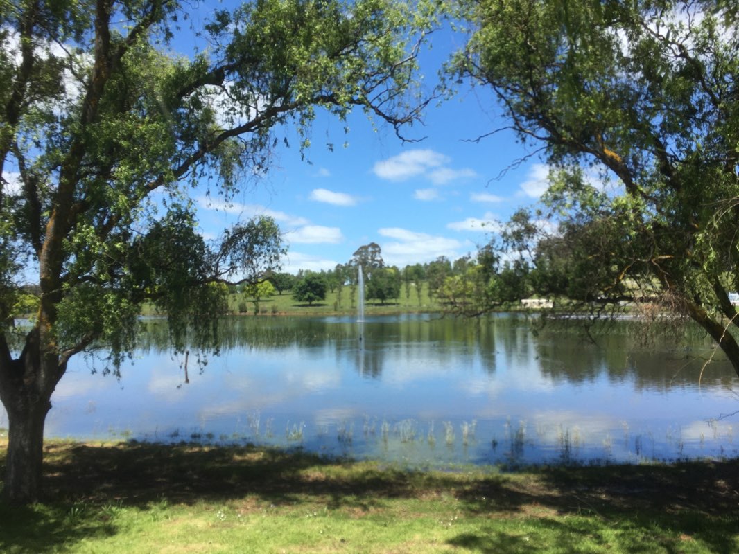 walking near me in Lardner Park in spring