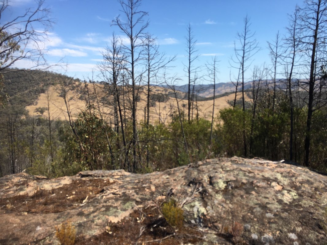 walking near me in Burrowa - Pine Mountain National Park in summer