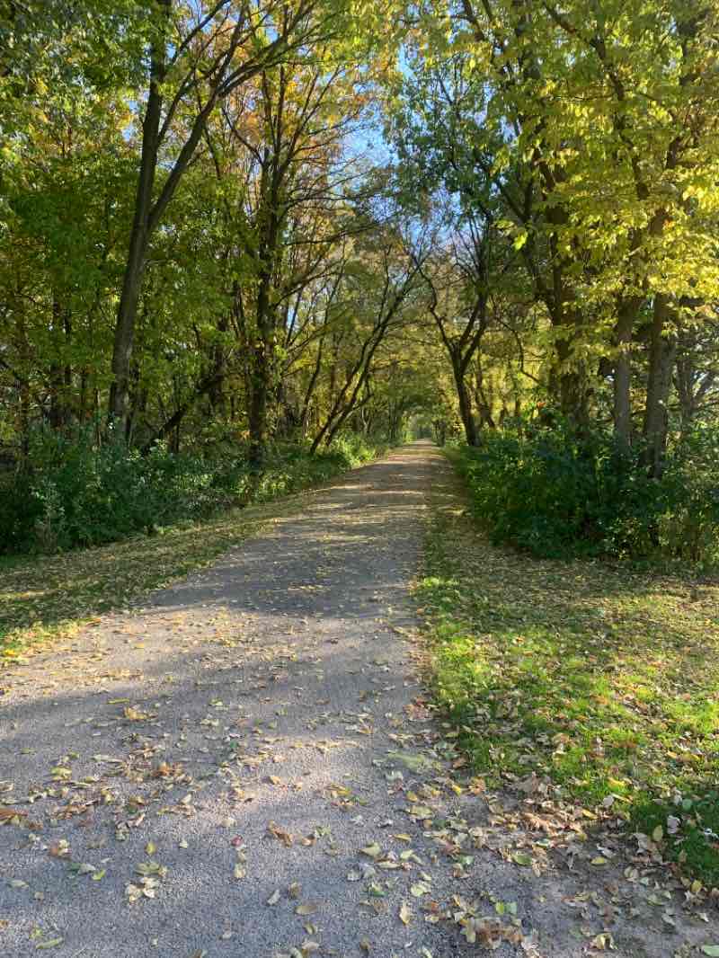 walking near me in Meadows Park in winter