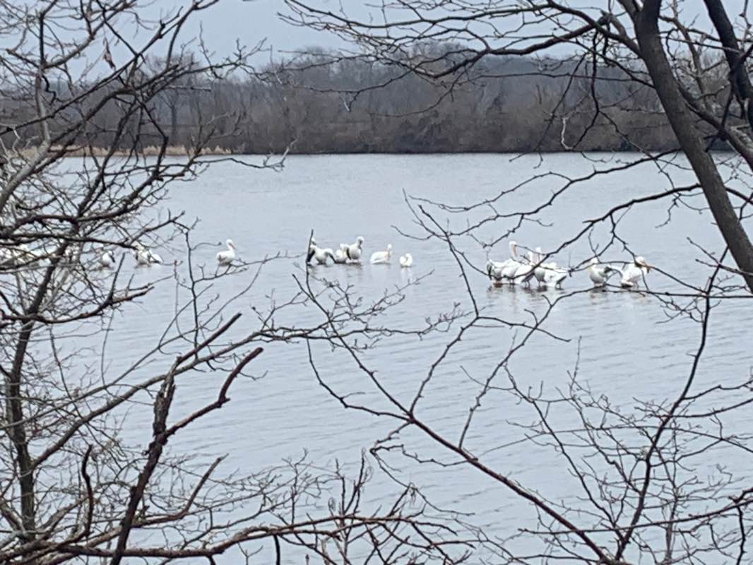 walking near me in Rock River Trail in winter