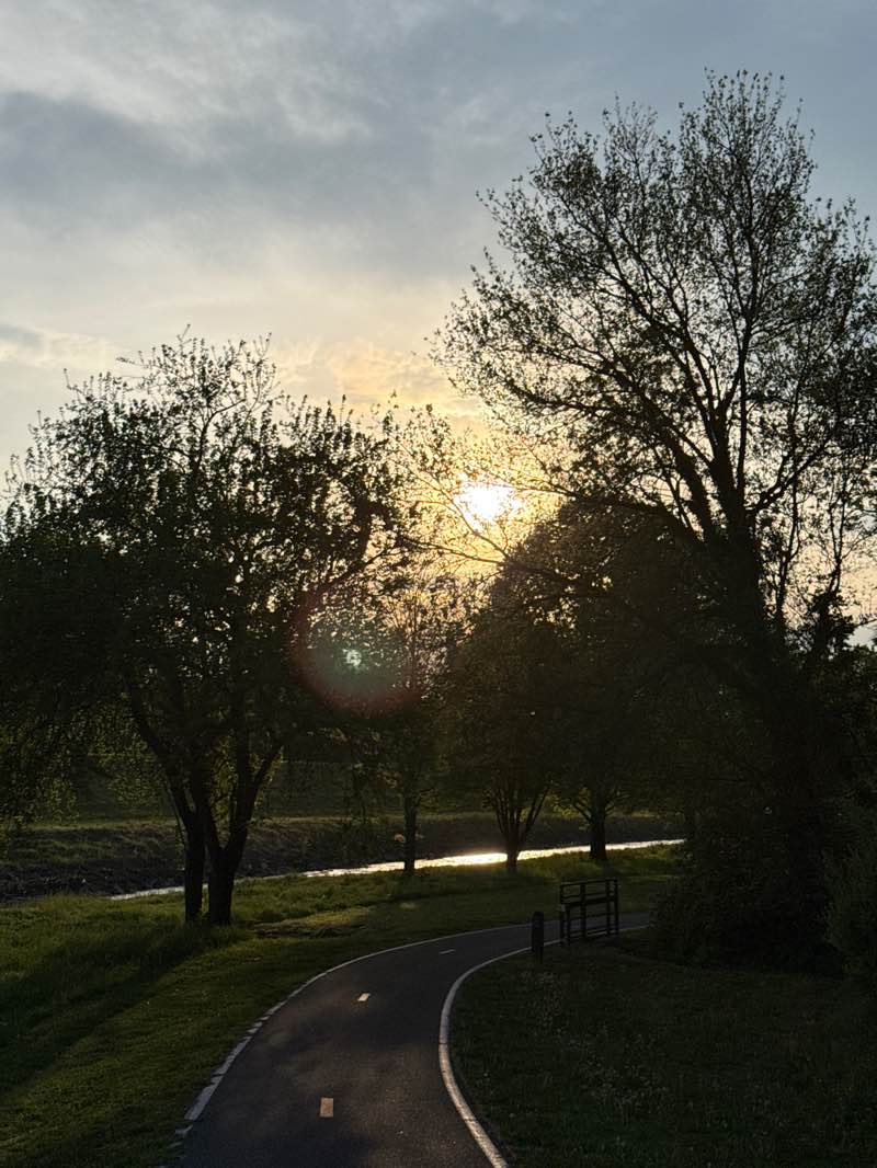 walking near me in Melrose Park in spring