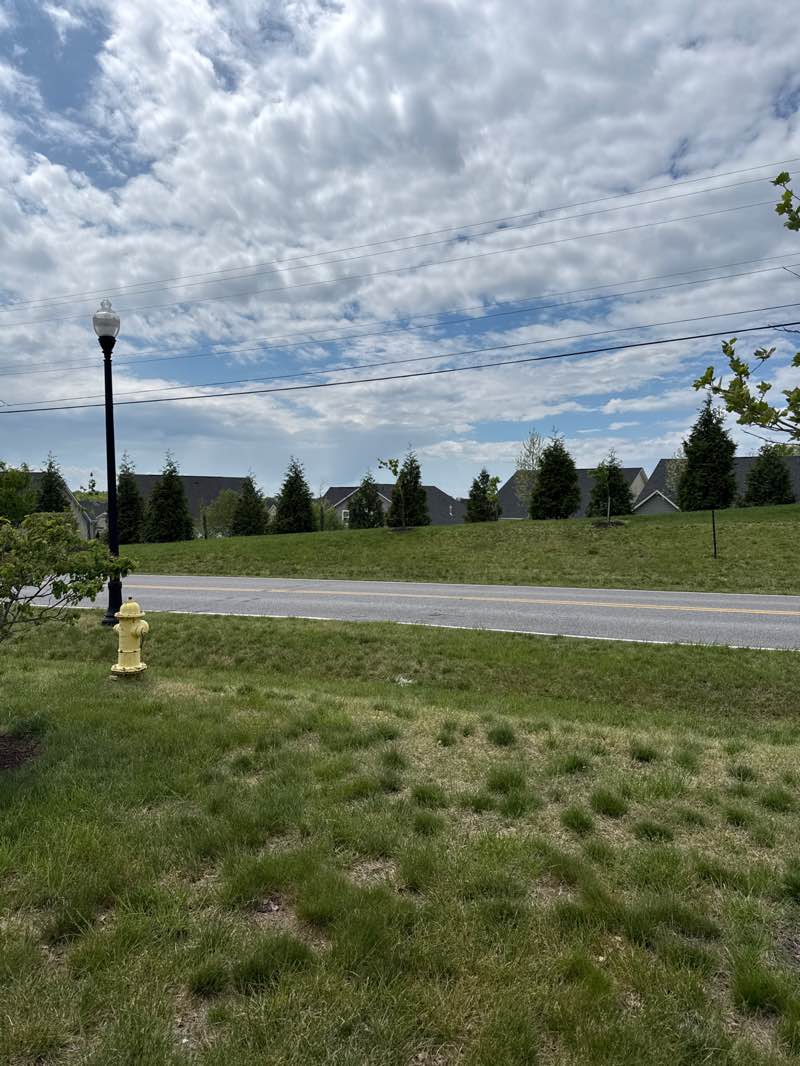 walking near me in WB&A Trail in spring