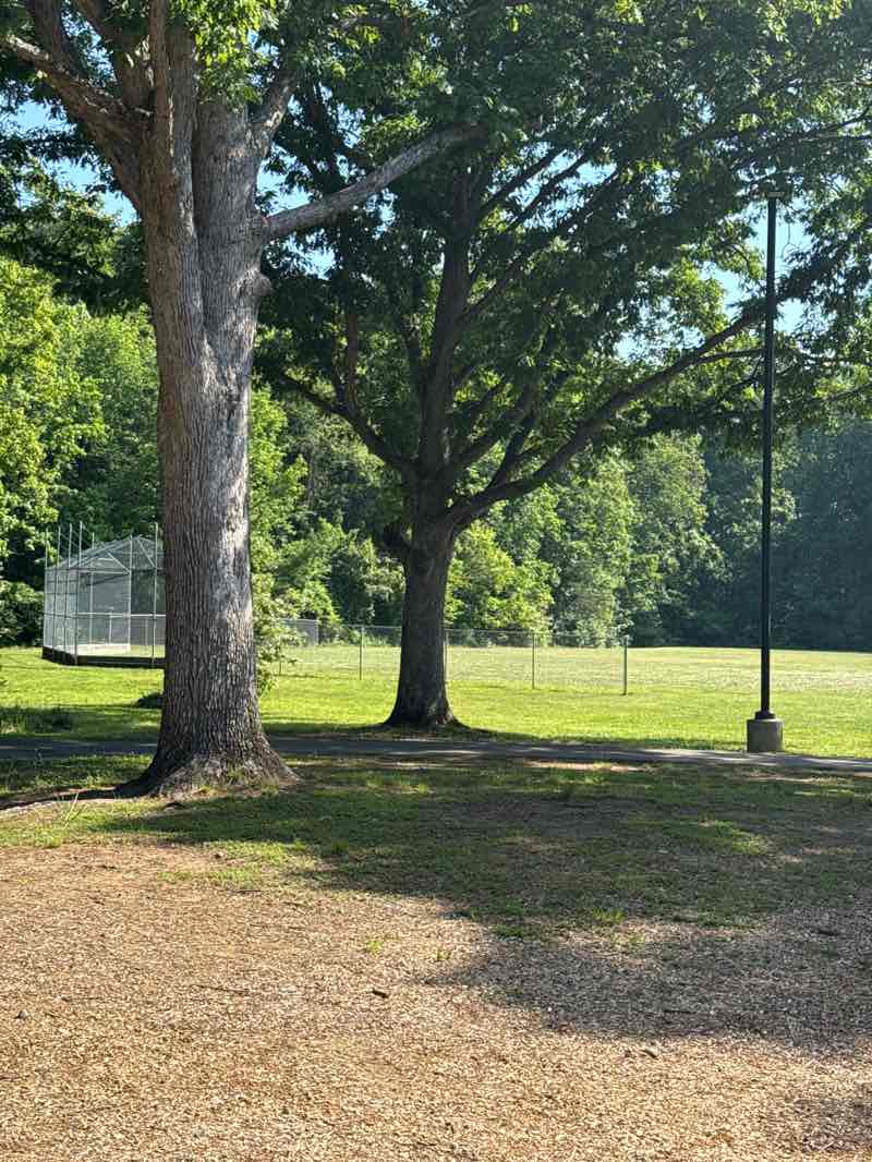 walking near me in Foxhill Park in summer