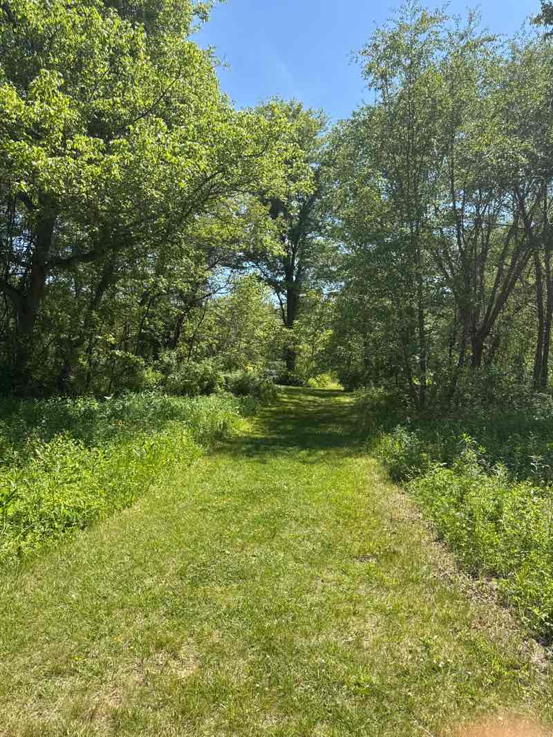 walking near me in Green Branch Athletic Complex in spring