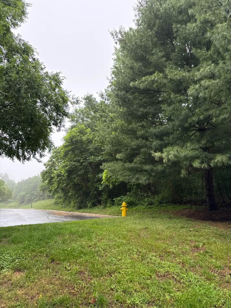 walking near me in Piney Orchard Park in summer