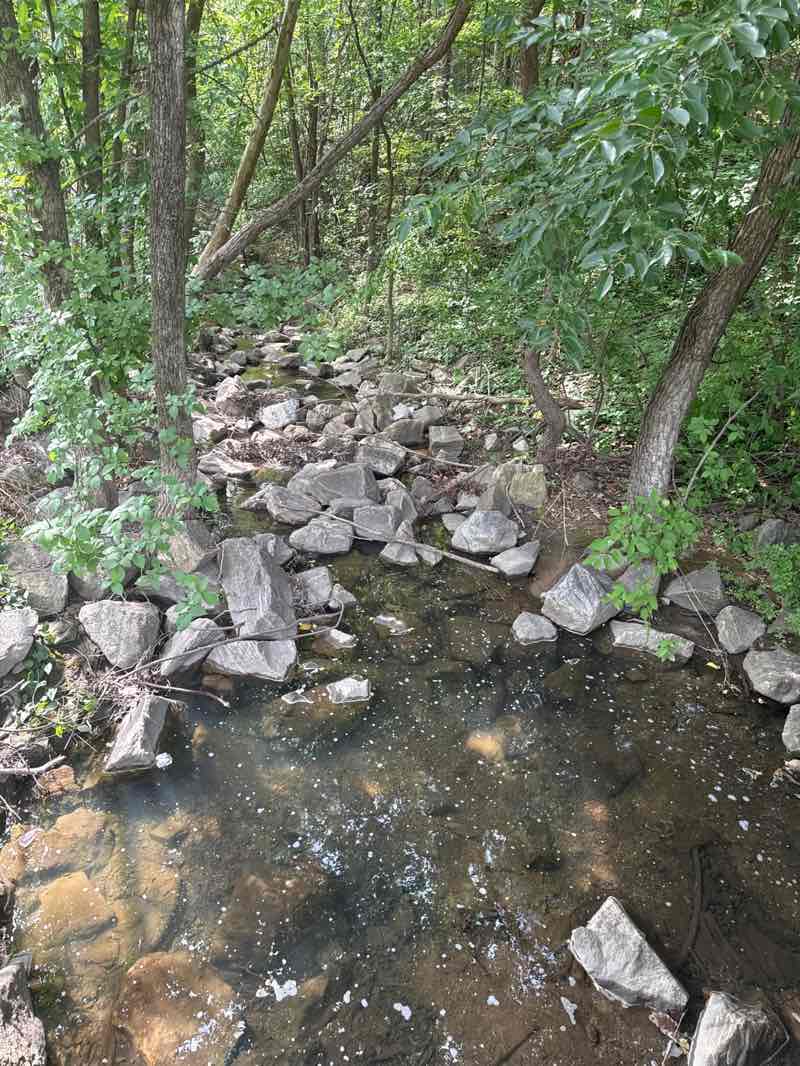 walking near me in West Lanham Hills Neighborhood Park in summer