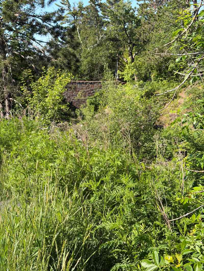 walking near me in Lester Park in summer
