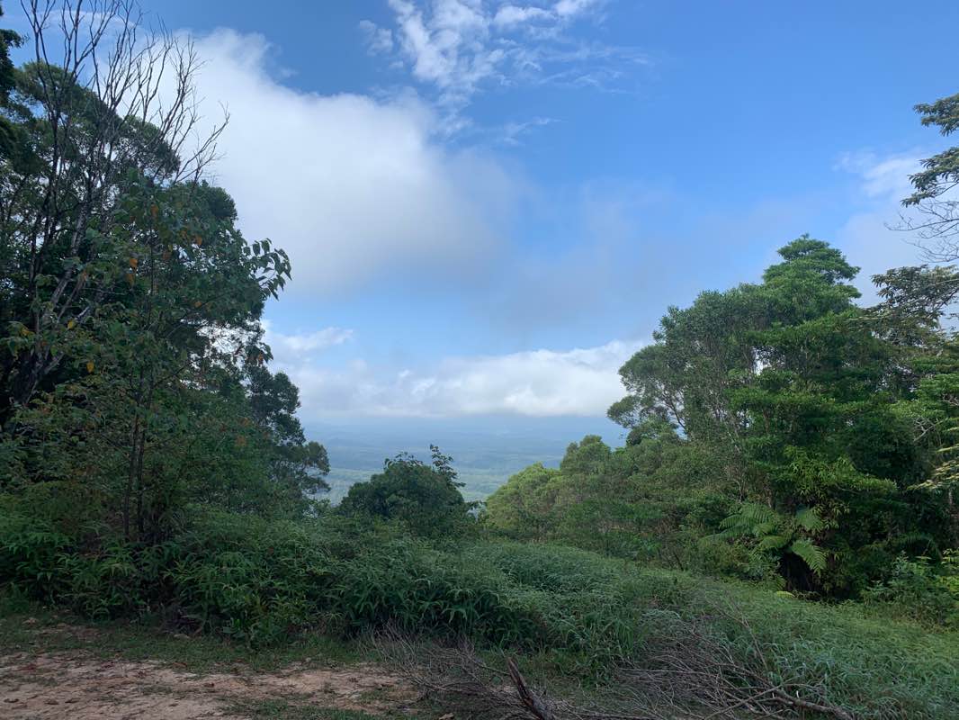 walking near me in Daintree National Park in summer