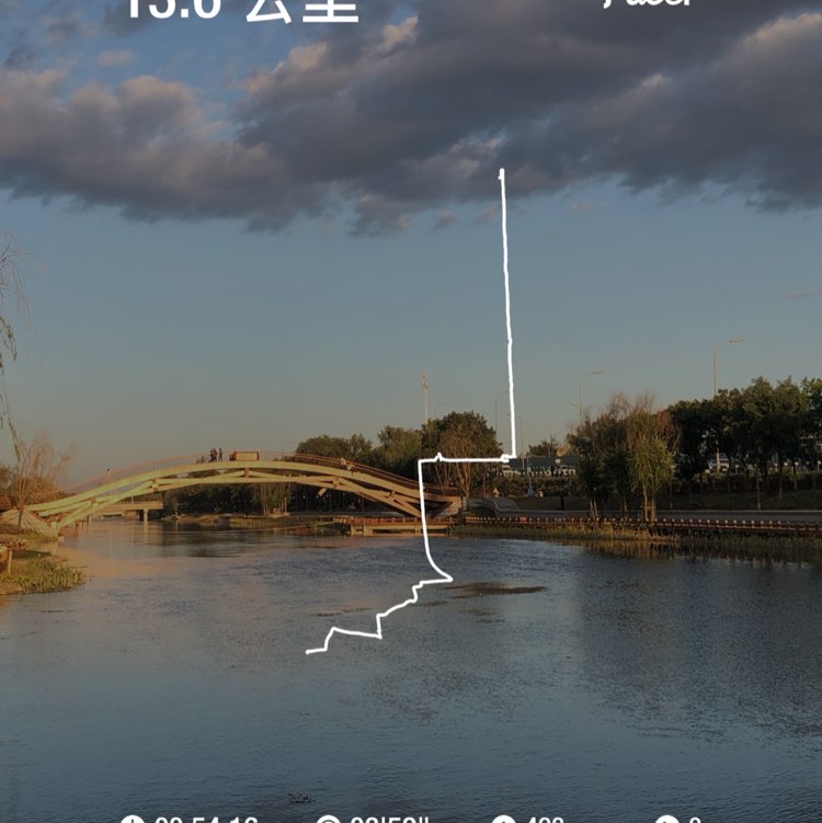 会飞的黑斑蛙 post 1