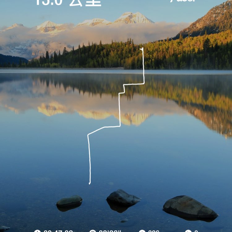 会飞的黑斑蛙 post 1