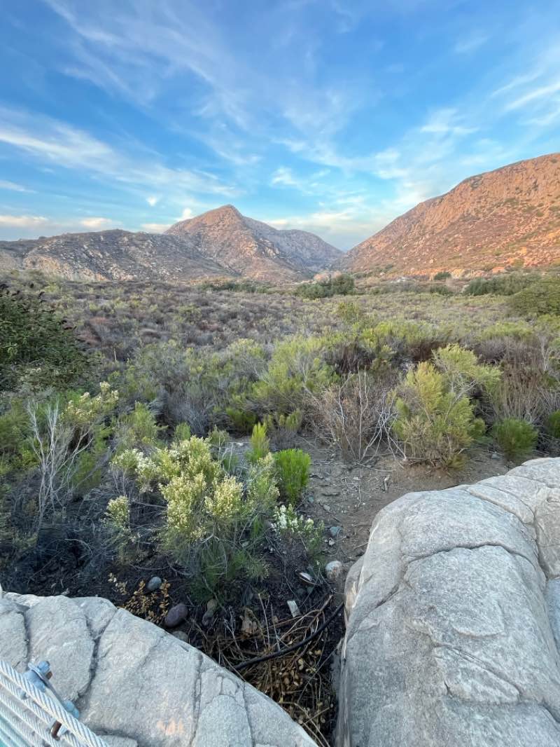 walking near me in Renzuilli Park in winter