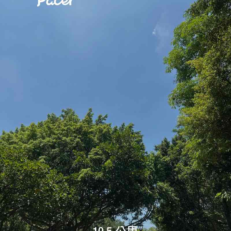 六 六 post 1