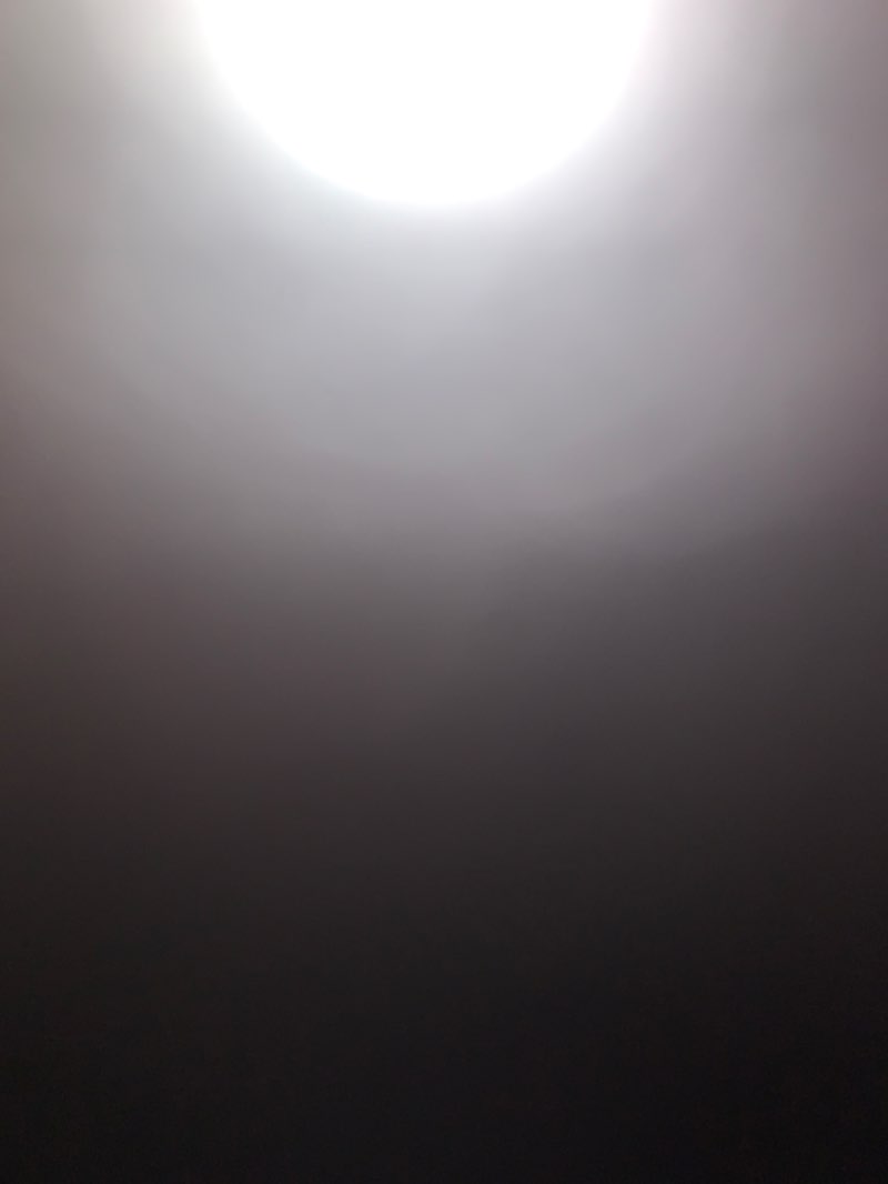 walking near me in Jaycee Park in winter