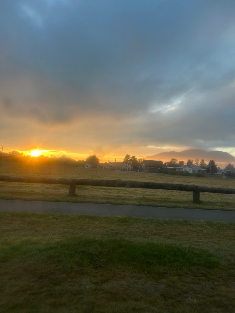 walking near me in Pihanga Reserve in winter