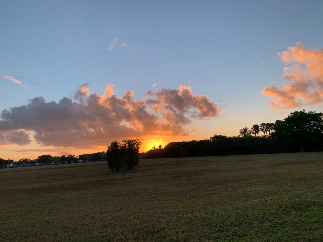 walking near me in Modello Park in winter