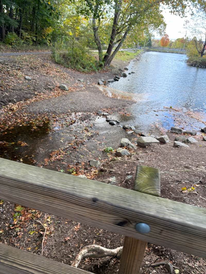 walking near me in Shank Park in autumn