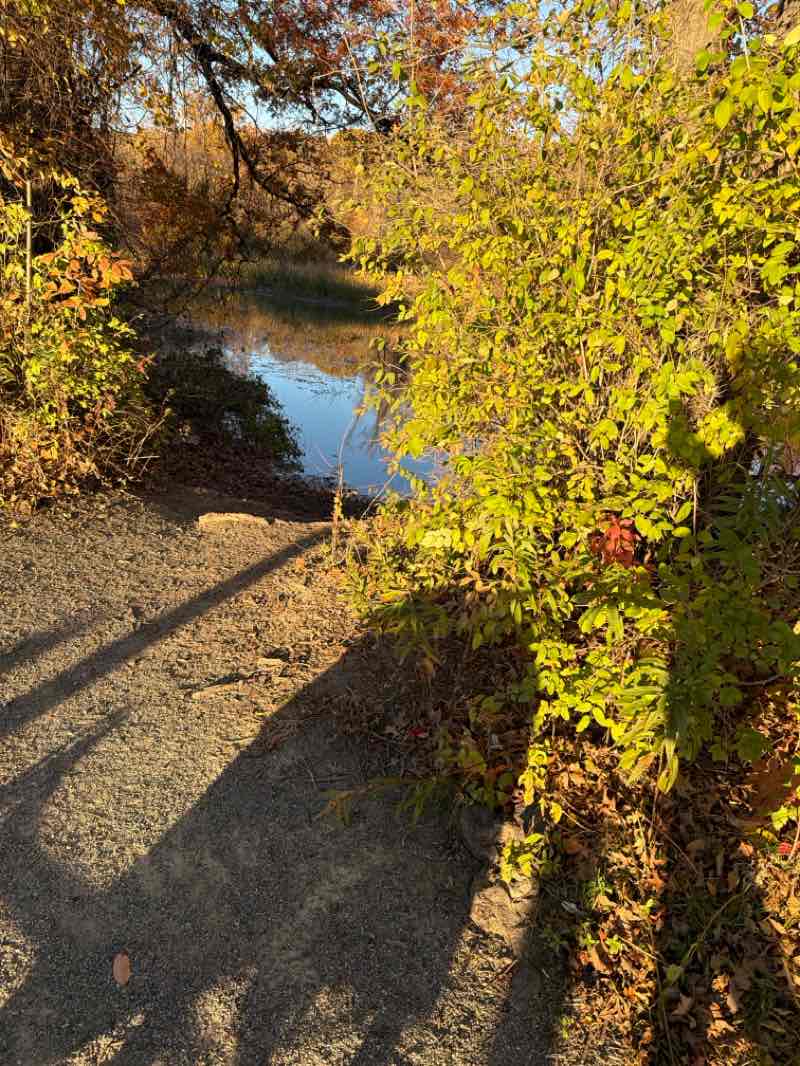 walking near me in Wildwood Park in autumn