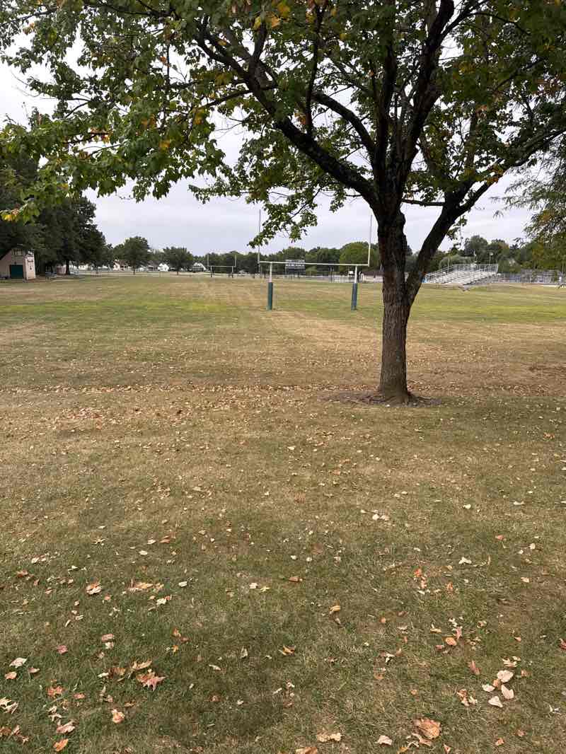 walking near me in Koon's Park in autumn