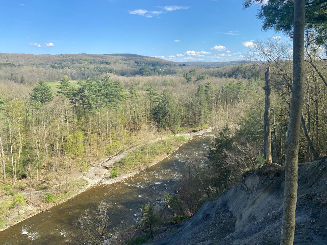 walking near me in Reynolds Game Farm in winter