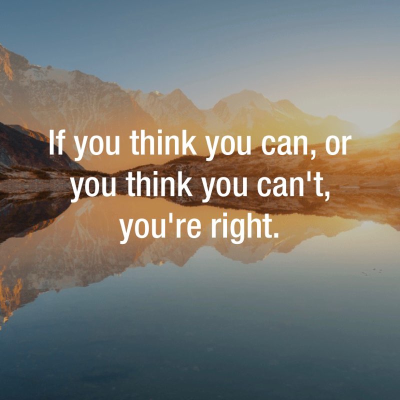 Walking Cats Annia post image