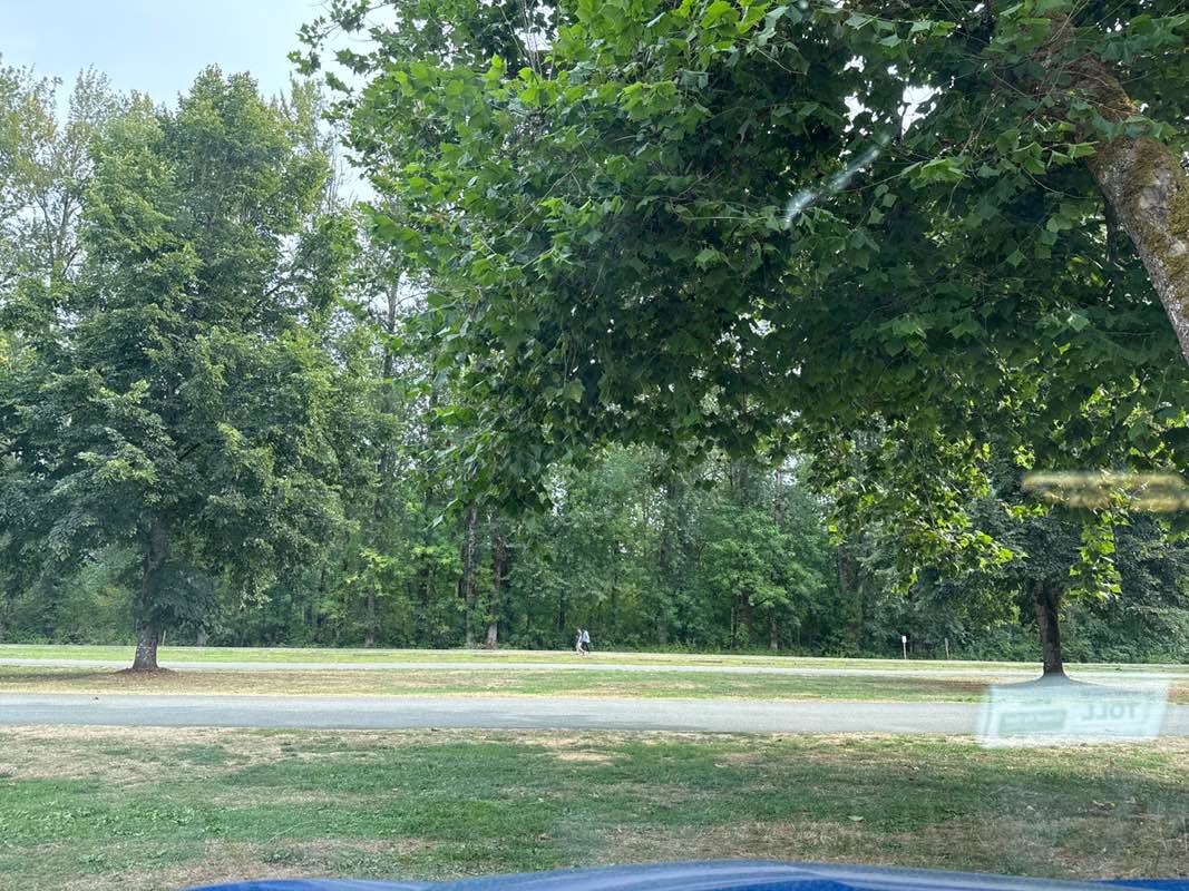 walking near me in Lake Sammamish State Park in autumn